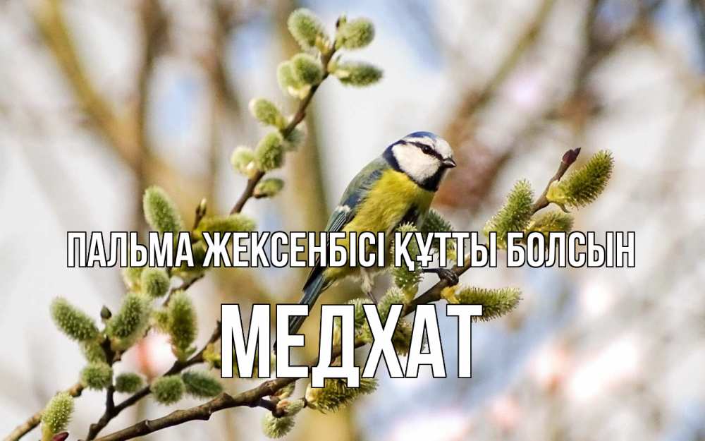 Күн сайын ашық хат с именем, МЕДХАТ Пальма жексенбісі құтты болсын верба Онлайн тегін жүктеп алу тілектері бар керемет карта 