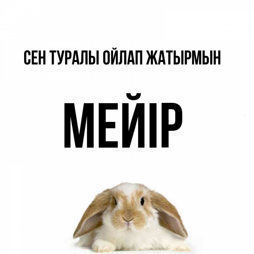 Күн сайын ашық хат с именем, МЕЙІР Сен туралы ойлап жатырмын подписать своими руками онлайн Онлайн тегін жүктеп алу тілектері бар керемет карта 