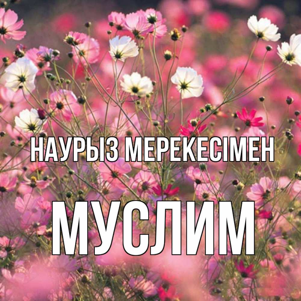 Күн сайын ашық хат с именем, Муслим Наурыз мерекесімен красиво 1 Онлайн тегін жүктеп алу тілектері бар керемет карта 