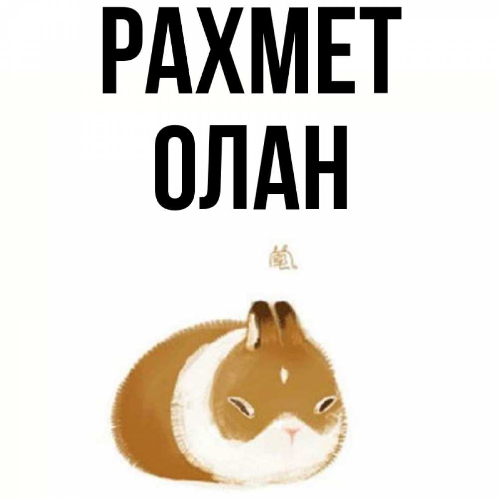 Күн сайын ашық хат с именем, Олан рахмет коричнево белый домашний питомец Онлайн тегін жүктеп алу тілектері бар керемет карта 