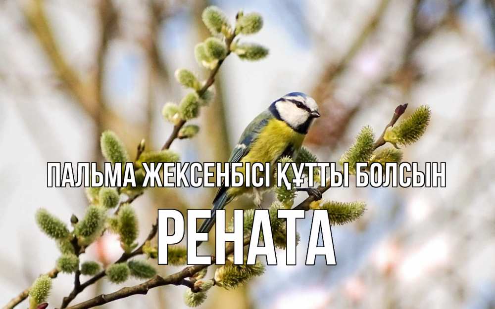 Күн сайын ашық хат с именем, Рената Пальма жексенбісі құтты болсын верба Онлайн тегін жүктеп алу тілектері бар керемет карта 