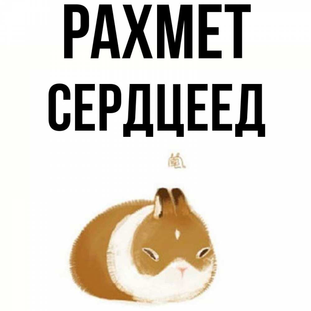 Күн сайын ашық хат с именем, Сердцеед рахмет коричнево белый домашний питомец Онлайн тегін жүктеп алу тілектері бар керемет карта 
