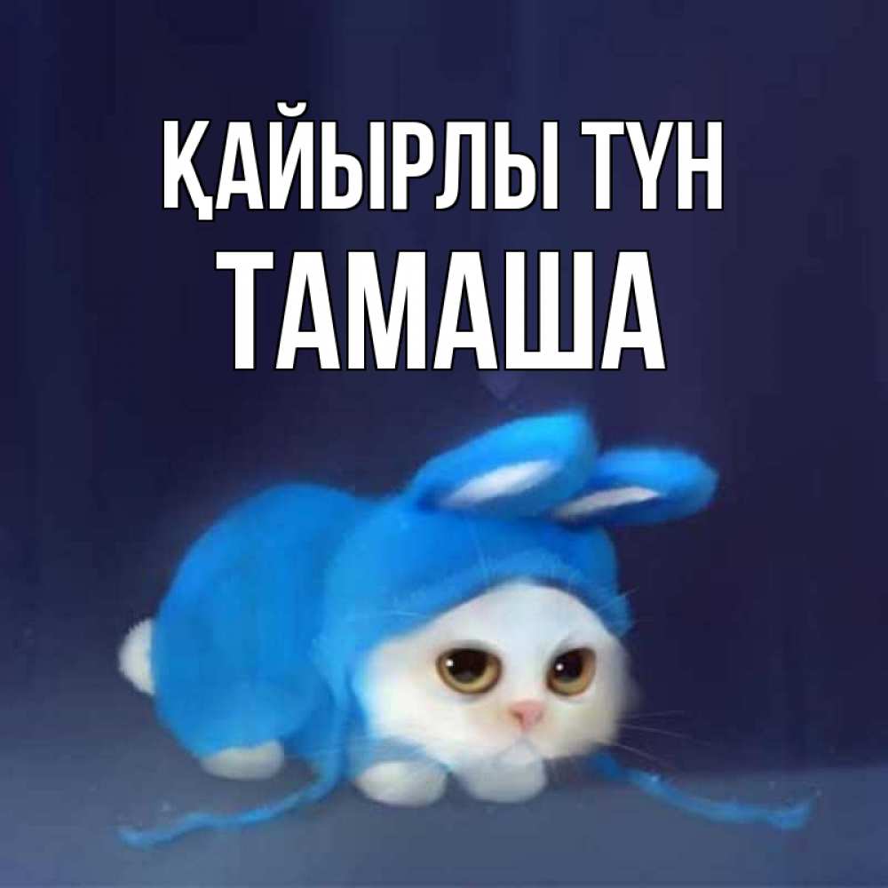 Күн сайын ашық хат с именем, ТАМАША Қайырлы түн кот в голубом костюме кролика с ушками Онлайн тегін жүктеп алу тілектері бар керемет карта 
