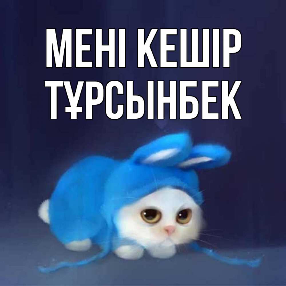 Күн сайын ашық хат с именем, ТҰРСЫНБЕК Мені кешір невинный котозай просит прощения Онлайн тегін жүктеп алу тілектері бар керемет карта 