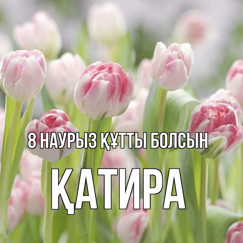 Күн сайын ашық хат с именем, ҚАТИРА 8 наурыз құтты болсын цветы Онлайн тегін жүктеп алу тілектері бар керемет карта 
