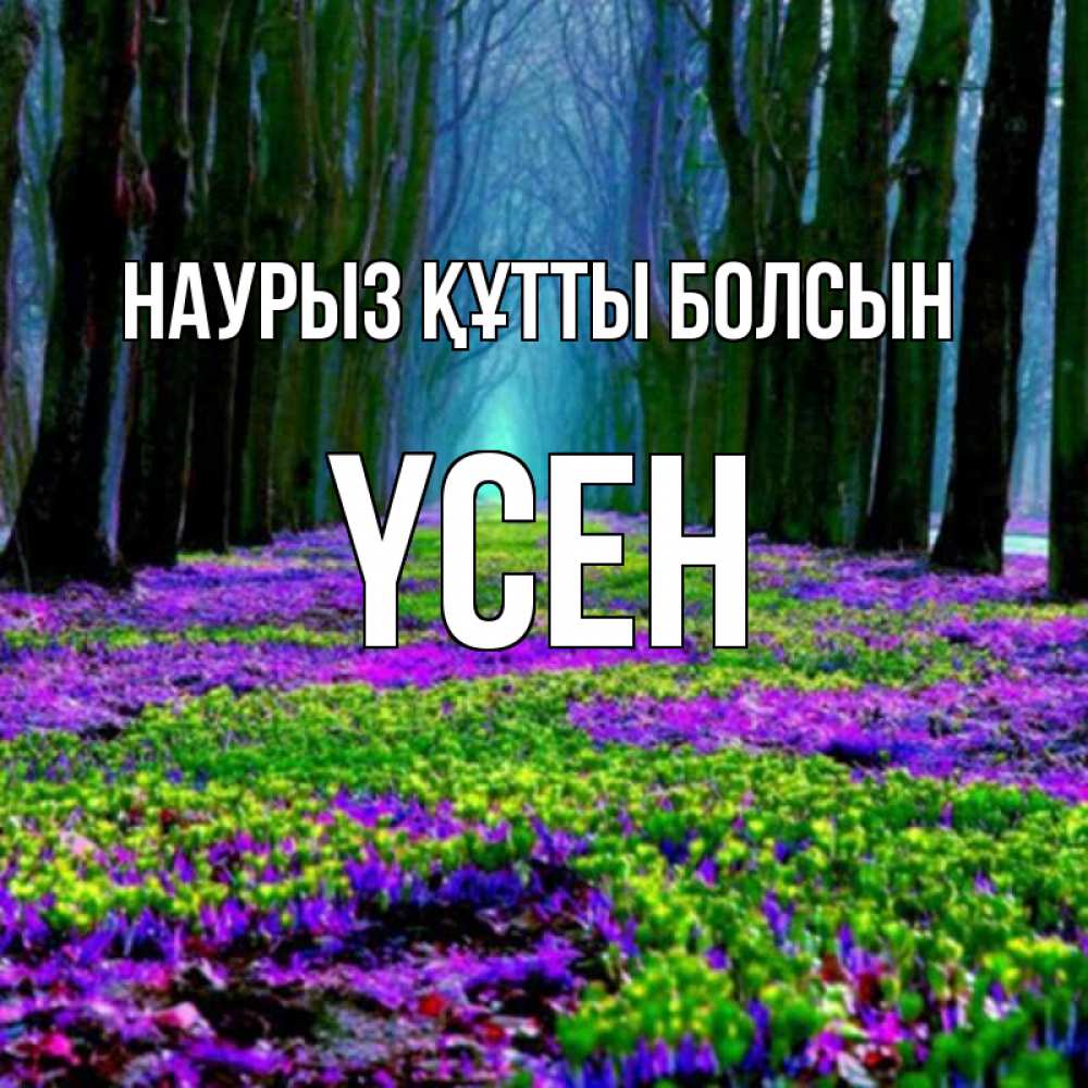 Күн сайын ашық хат с именем, ҮСЕН Наурыз құтты болсын фиолетовые цветы в лесу 1 Онлайн тегін жүктеп алу тілектері бар керемет карта 