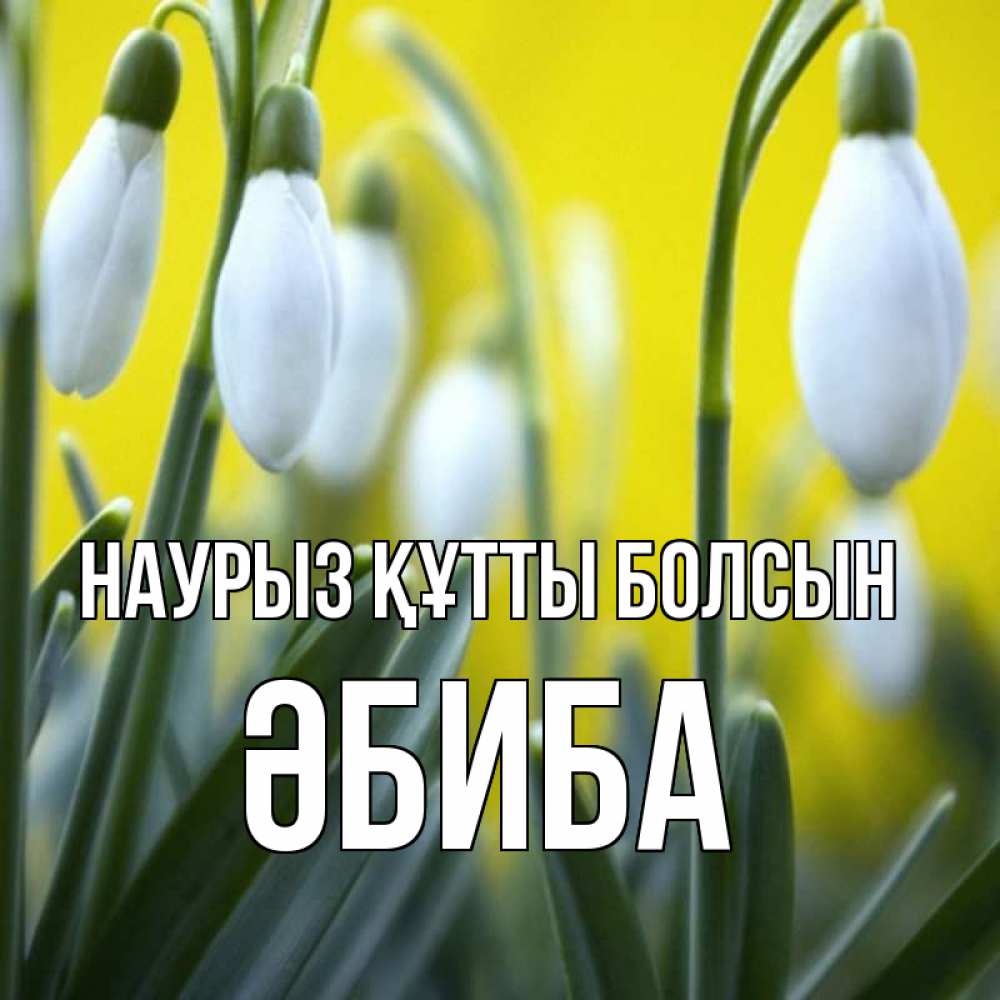 Күн сайын ашық хат с именем, ӘБИБА Наурыз құтты болсын весенние цветы Онлайн тегін жүктеп алу тілектері бар керемет карта 