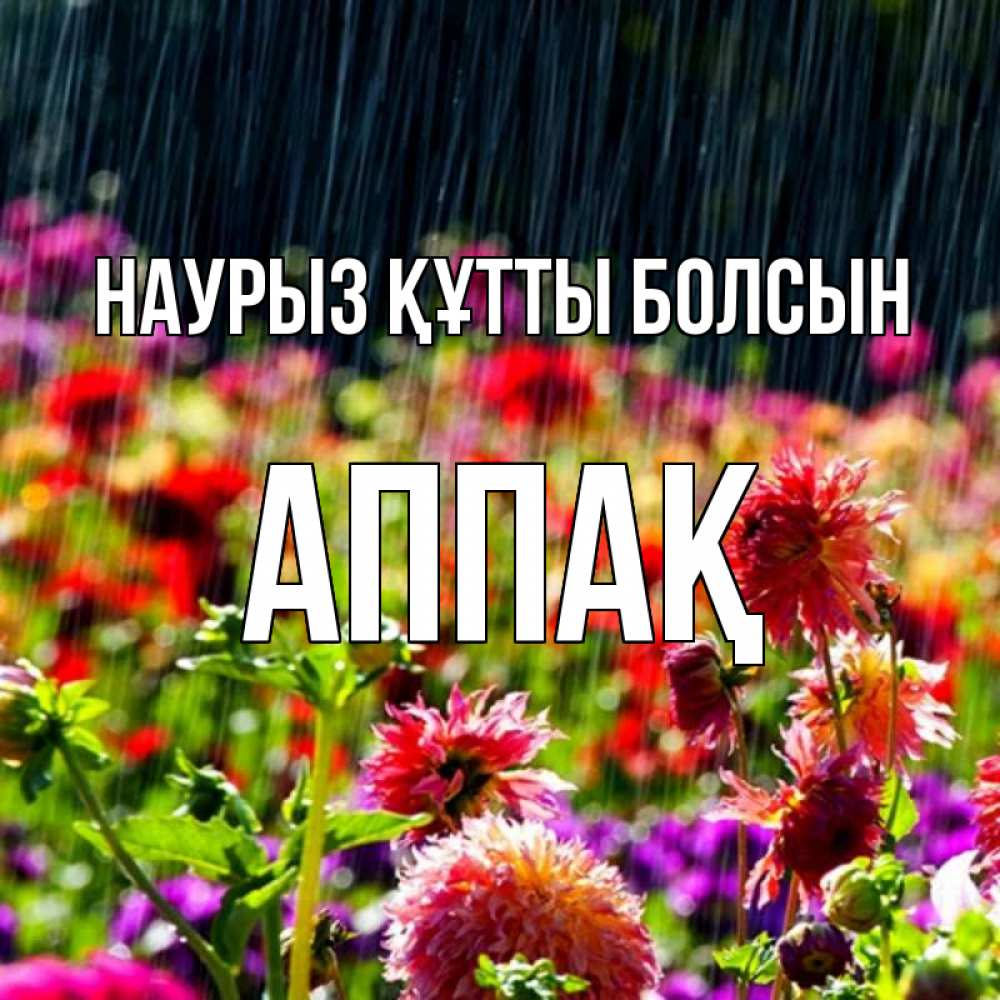 Күн сайын ашық хат с именем, Аппақ Наурыз құтты болсын цветы под дождиком к наурызу Онлайн тегін жүктеп алу тілектері бар керемет карта 