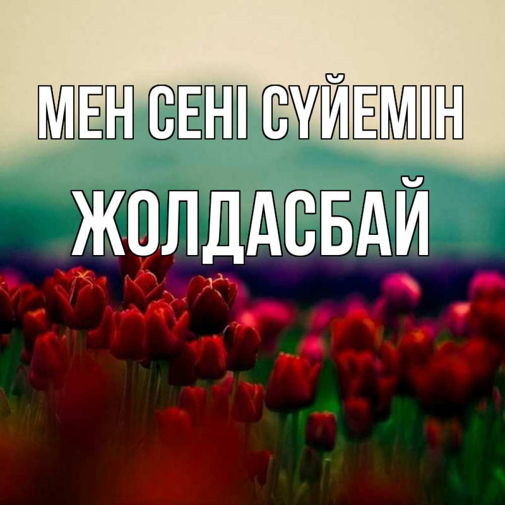 Күн сайын ашық хат с именем, Жолдасбай Мен сені сүйемін тюльпаны 4 Онлайн тегін жүктеп алу тілектері бар керемет карта 