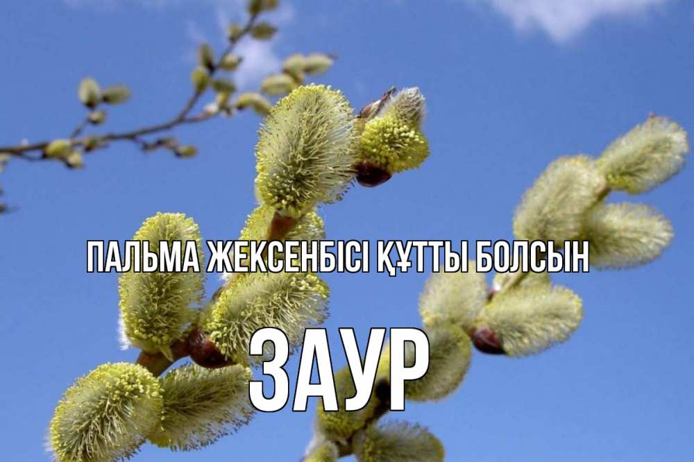 Күн сайын ашық хат с именем, Заур Пальма жексенбісі құтты болсын верба Онлайн тегін жүктеп алу тілектері бар керемет карта 