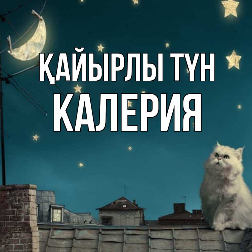 Күн сайын ашық хат с именем, Калерия Қайырлы түн белый кот сидит на крыше Онлайн тегін жүктеп алу тілектері бар керемет карта 
