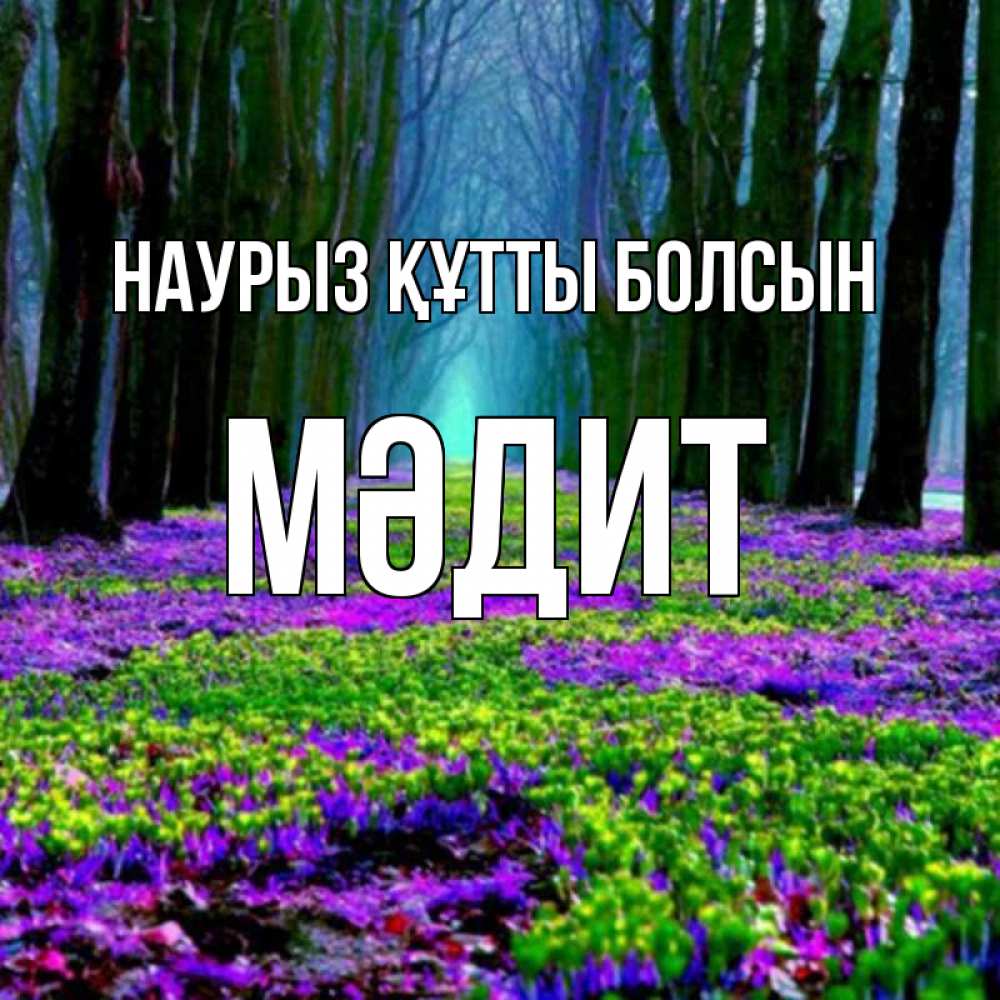 Күн сайын ашық хат с именем, МӘДИТ Наурыз құтты болсын фиолетовые цветы в лесу 1 Онлайн тегін жүктеп алу тілектері бар керемет карта 