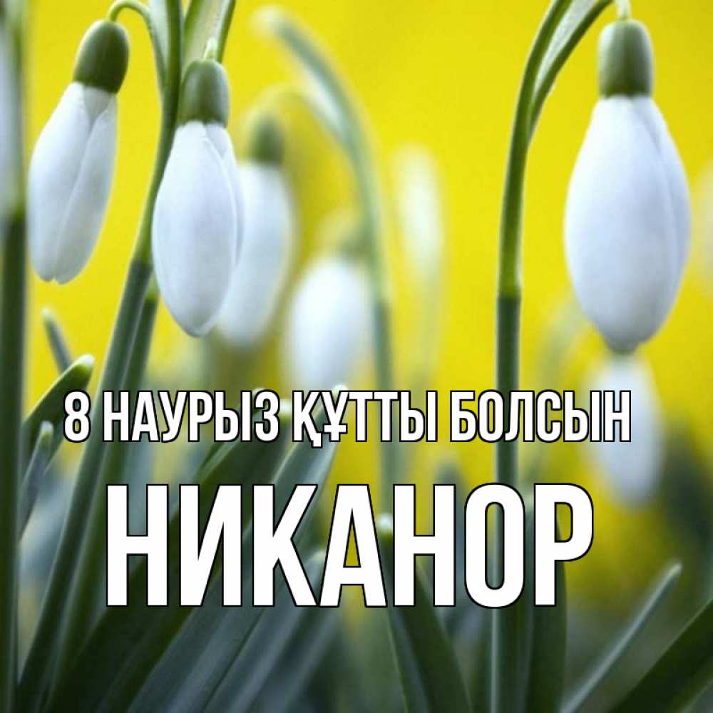 Күн сайын ашық хат с именем, Никанор 8 наурыз құтты болсын весенние цветы Онлайн тегін жүктеп алу тілектері бар керемет карта 