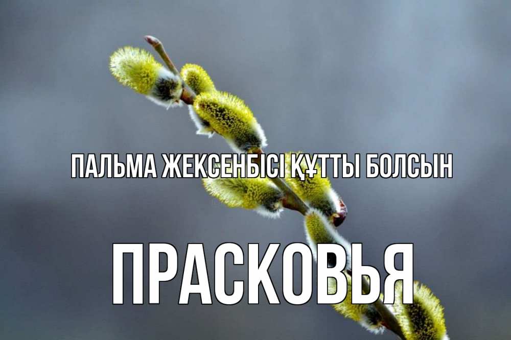 Күн сайын ашық хат с именем, Прасковья Пальма жексенбісі құтты болсын верба Онлайн тегін жүктеп алу тілектері бар керемет карта 
