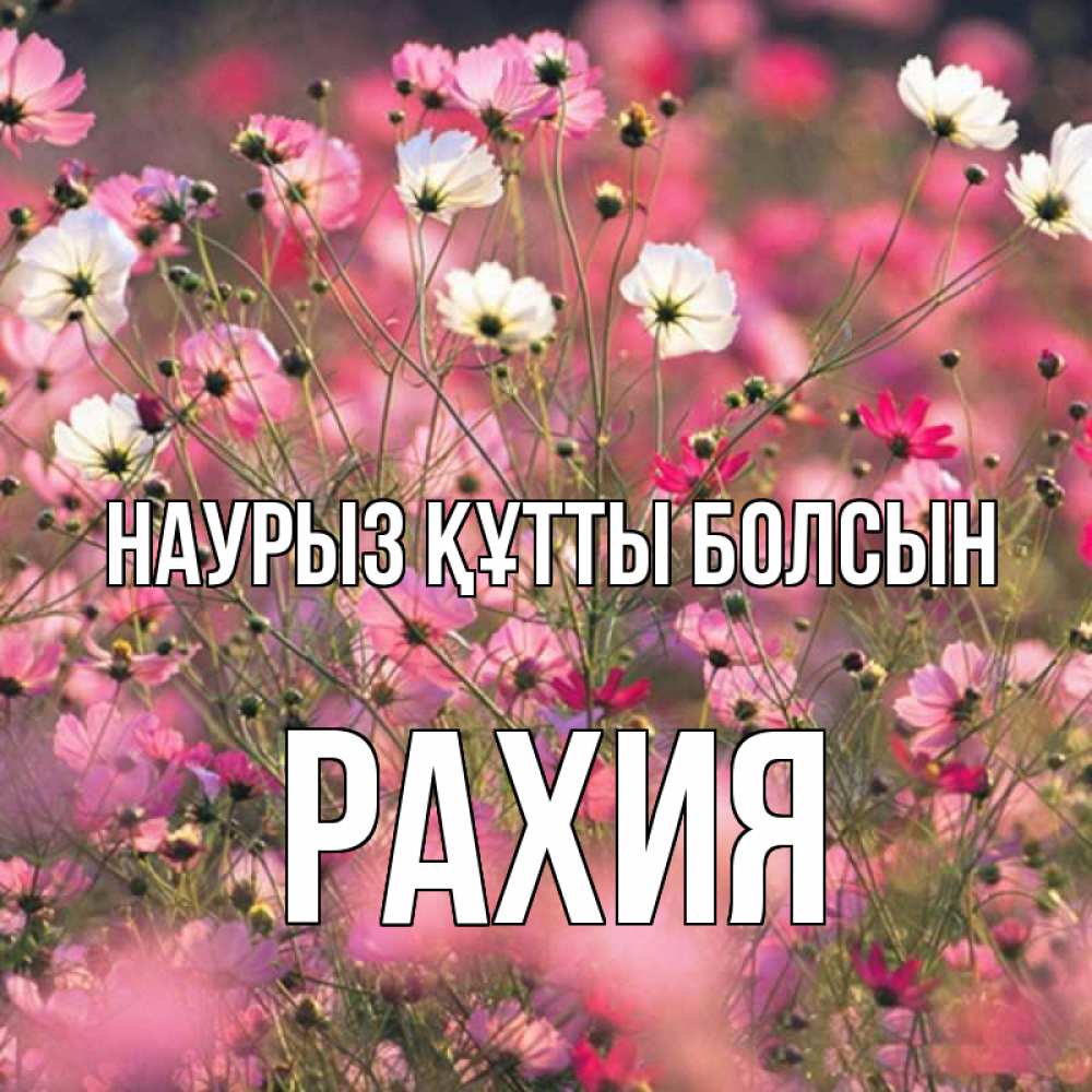 Күн сайын ашық хат с именем, РАХИЯ Наурыз құтты болсын красиво 1 Онлайн тегін жүктеп алу тілектері бар керемет карта 