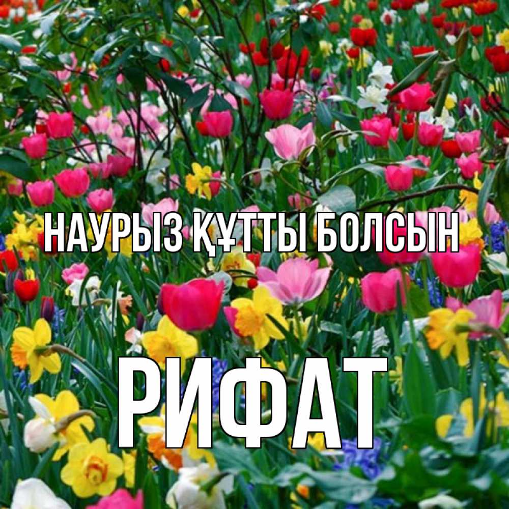 Күн сайын ашық хат с именем, Рифат Наурыз құтты болсын с наурызом поздравления для женщины Онлайн тегін жүктеп алу тілектері бар керемет карта 