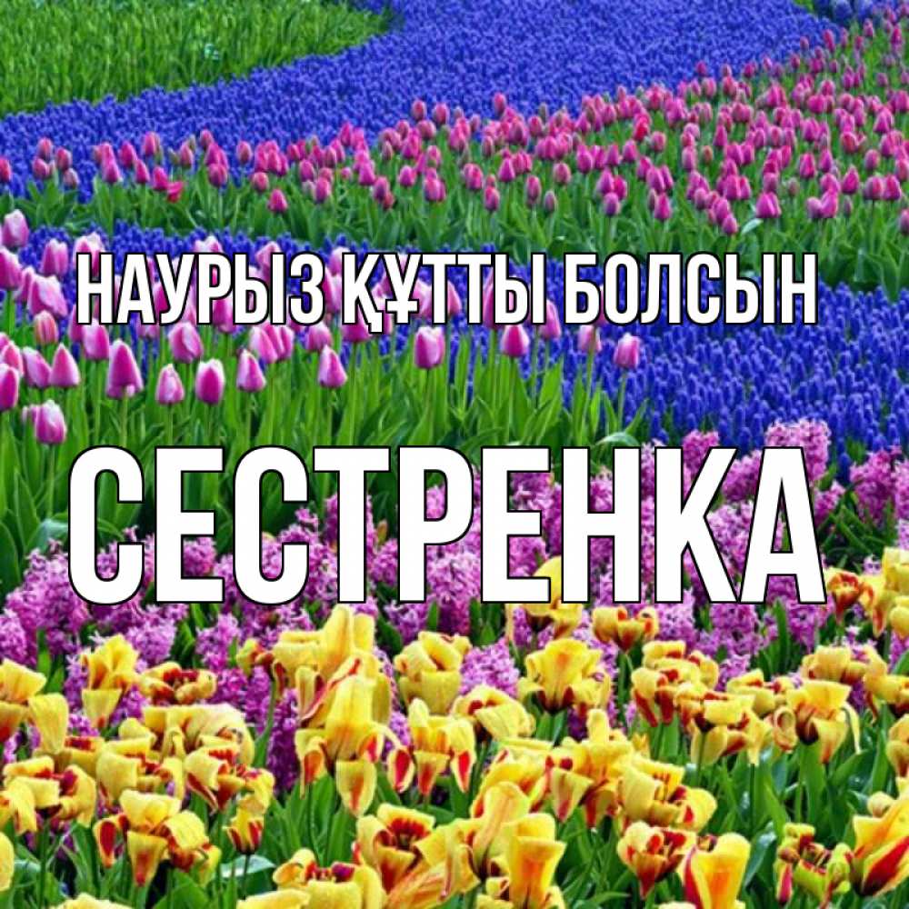 Күн сайын ашық хат с именем, Сестренка Наурыз құтты болсын цветы Онлайн тегін жүктеп алу тілектері бар керемет карта 