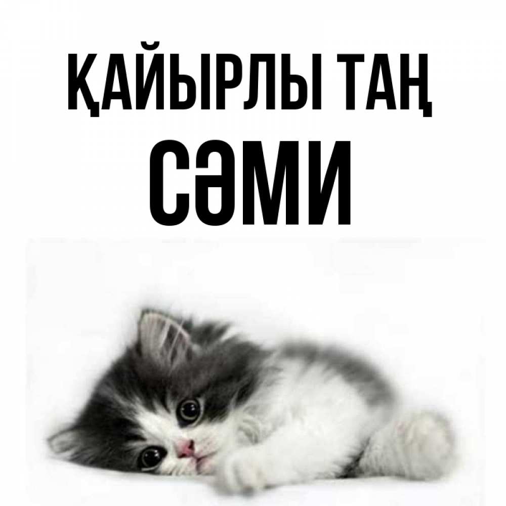 Күн сайын ашық хат с именем, СӘМИ Қайырлы таң кот лапки Онлайн тегін жүктеп алу тілектері бар керемет карта 
