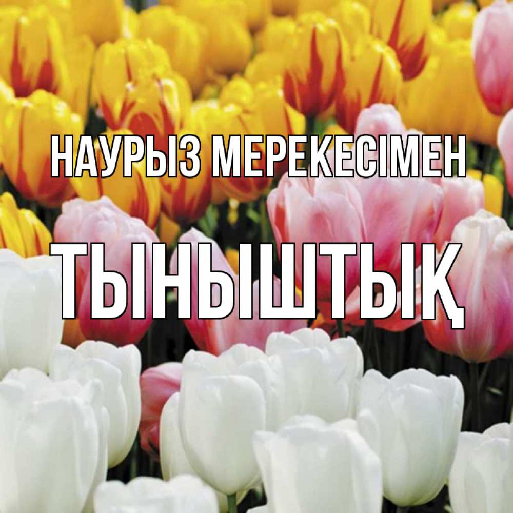 Күн сайын ашық хат с именем, ТЫНЫШТЫҚ Наурыз мерекесімен разноцветные цветы Онлайн тегін жүктеп алу тілектері бар керемет карта 
