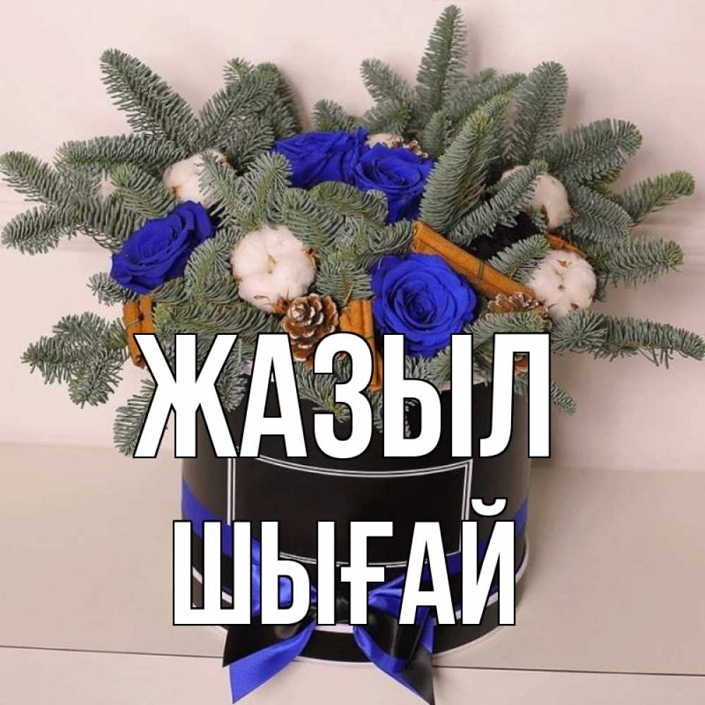 Күн сайын ашық хат с именем, ШЫҒАЙ Жазыл короче кто то загрузил эти шишки Онлайн тегін жүктеп алу тілектері бар керемет карта 