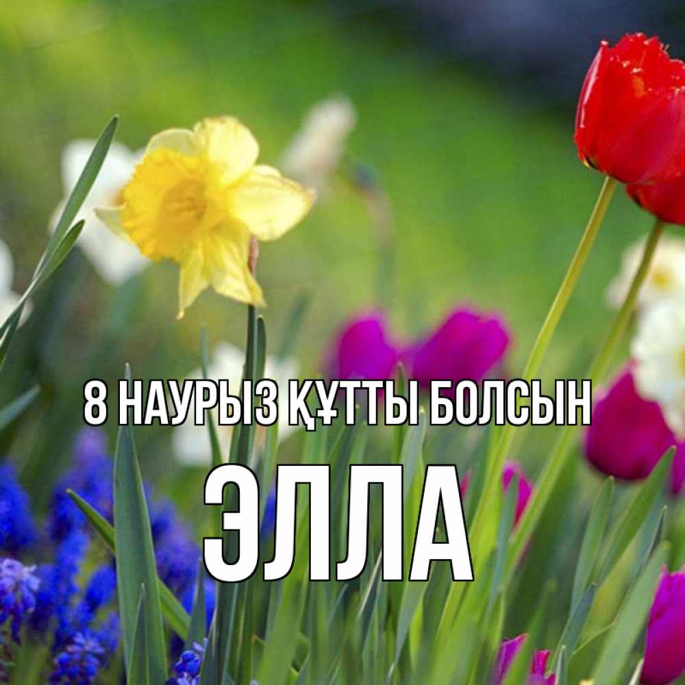 Күн сайын ашық хат с именем, Элла 8 наурыз құтты болсын международный женский день 3 Онлайн тегін жүктеп алу тілектері бар керемет карта 