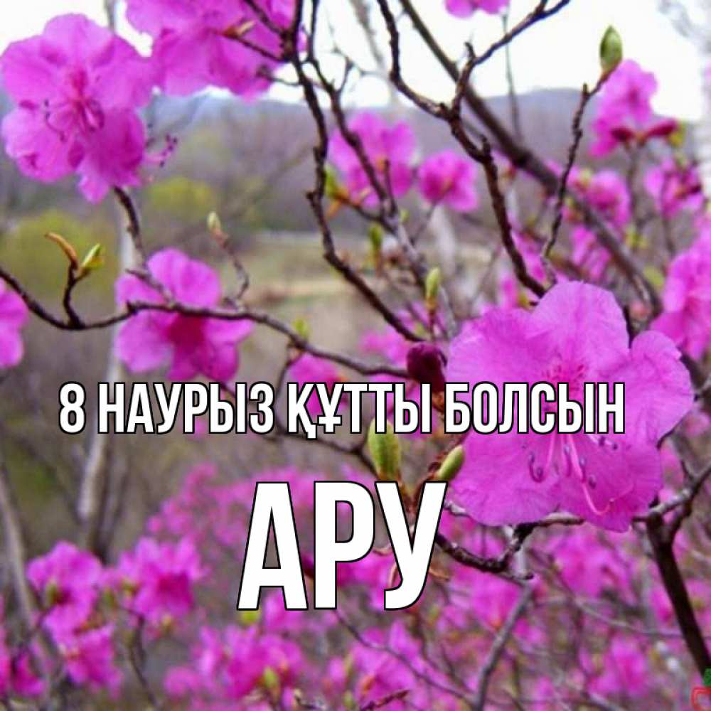 Күн сайын ашық хат с именем, АРУ 8 наурыз құтты болсын международный женский день Онлайн тегін жүктеп алу тілектері бар керемет карта 