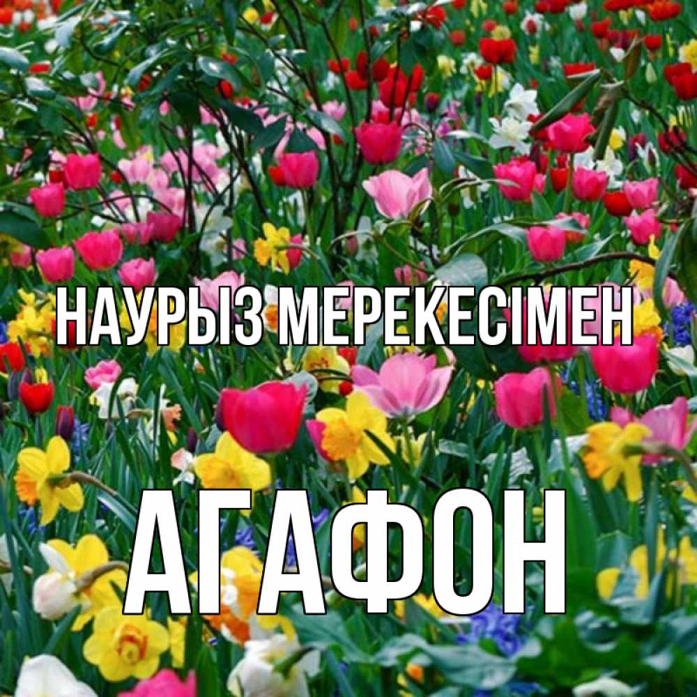 Күн сайын ашық хат с именем, Агафон Наурыз мерекесімен с наурызом праздником весны поздравления для женщины Онлайн тегін жүктеп алу тілектері бар керемет карта 