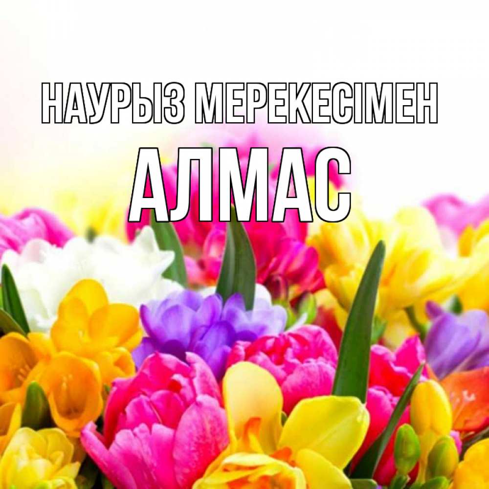 Күн сайын ашық хат с именем, Алмас Наурыз мерекесімен тюльпаны Онлайн тегін жүктеп алу тілектері бар керемет карта 