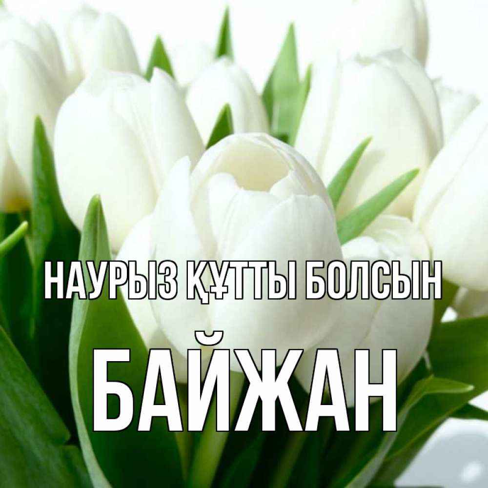 Күн сайын ашық хат с именем, Байжан Наурыз құтты болсын цветы Онлайн тегін жүктеп алу тілектері бар керемет карта 
