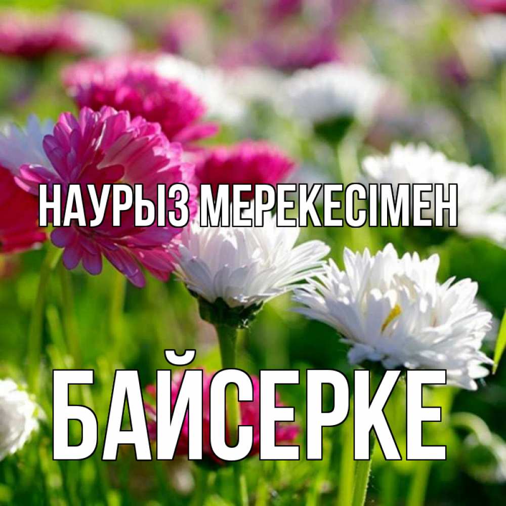 Күн сайын ашық хат с именем, Байсерке Наурыз мерекесімен праздник весны наурыз красота Онлайн тегін жүктеп алу тілектері бар керемет карта 