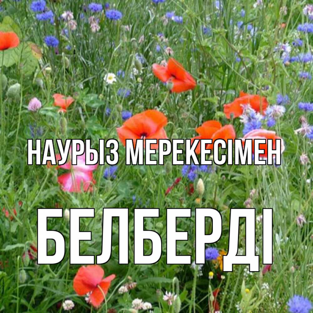 Күн сайын ашық хат с именем, Белберді Наурыз мерекесімен праздник весны наурыз супер открытка Онлайн тегін жүктеп алу тілектері бар керемет карта 
