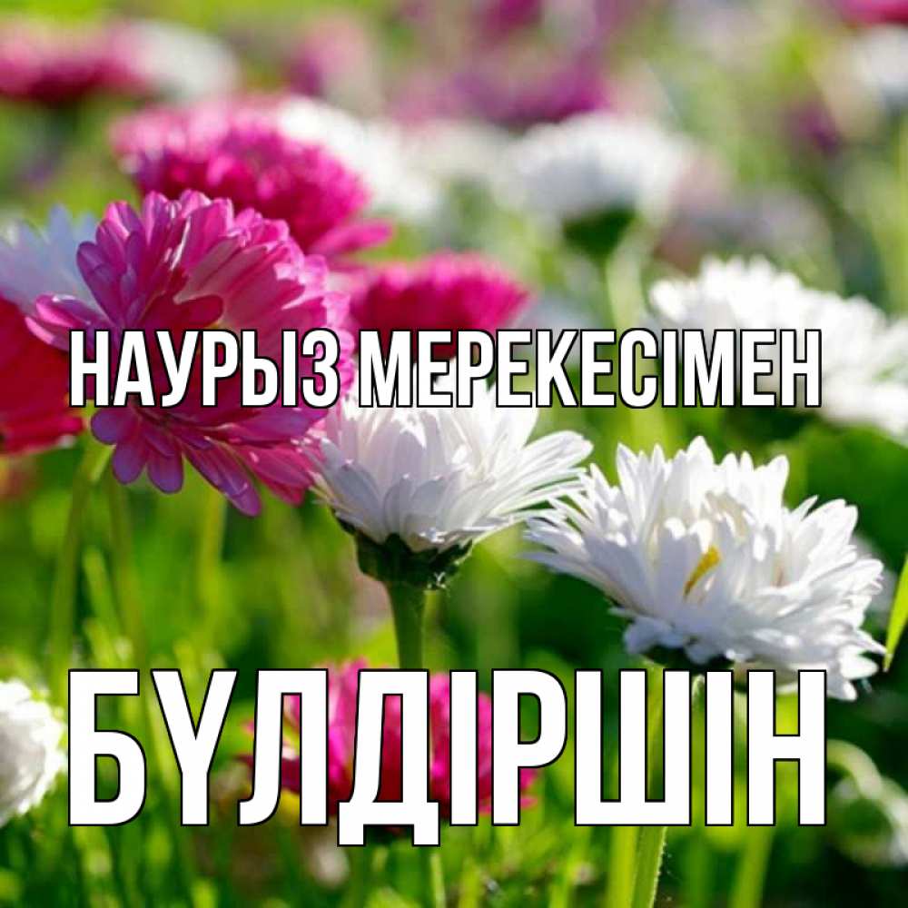 Күн сайын ашық хат с именем, БҮЛДІРШІН Наурыз мерекесімен праздник весны наурыз красота Онлайн тегін жүктеп алу тілектері бар керемет карта 