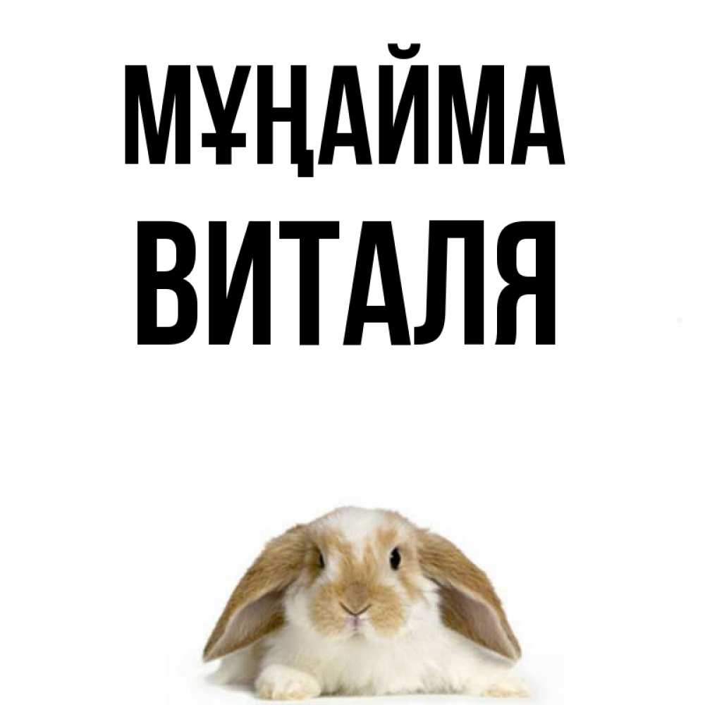 Күн сайын ашық хат с именем, Виталя Мұңайма коричнево белый заяц с большими ушками Онлайн тегін жүктеп алу тілектері бар керемет карта 