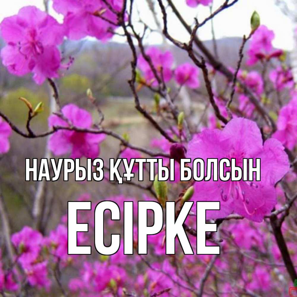Күн сайын ашық хат с именем, Есірке Наурыз құтты болсын наурыз мейрамы кутты болсын Онлайн тегін жүктеп алу тілектері бар керемет карта 