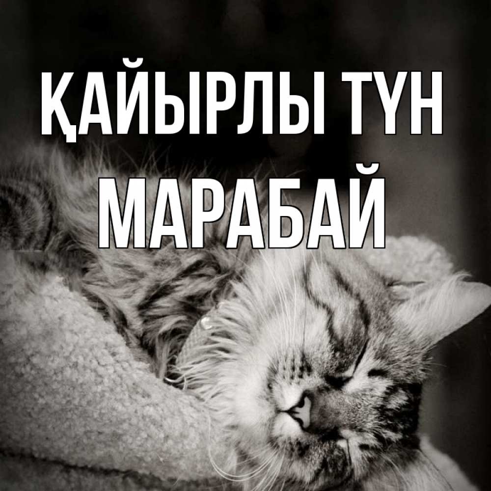 Күн сайын ашық хат с именем, МАРАБАЙ Қайырлы түн котярик пушистый Онлайн тегін жүктеп алу тілектері бар керемет карта 