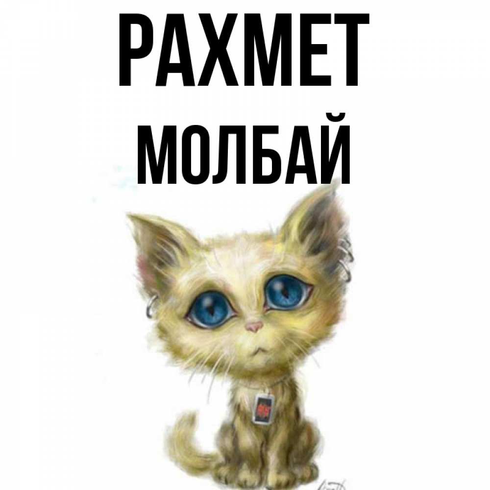 Күн сайын ашық хат с именем, МОЛБАЙ рахмет рисованный кот благодарит вас Онлайн тегін жүктеп алу тілектері бар керемет карта 