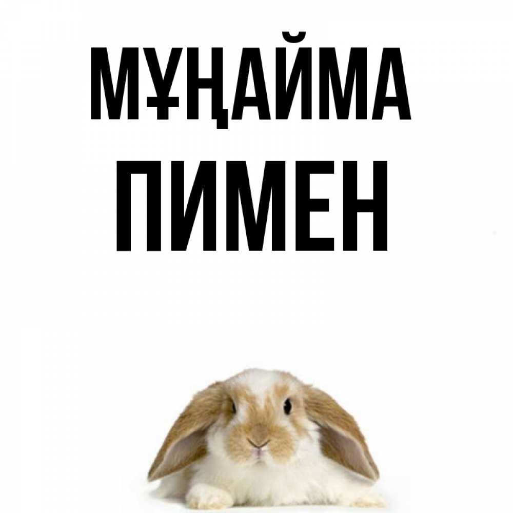 Күн сайын ашық хат с именем, Пимен Мұңайма коричнево белый заяц с большими ушками Онлайн тегін жүктеп алу тілектері бар керемет карта 
