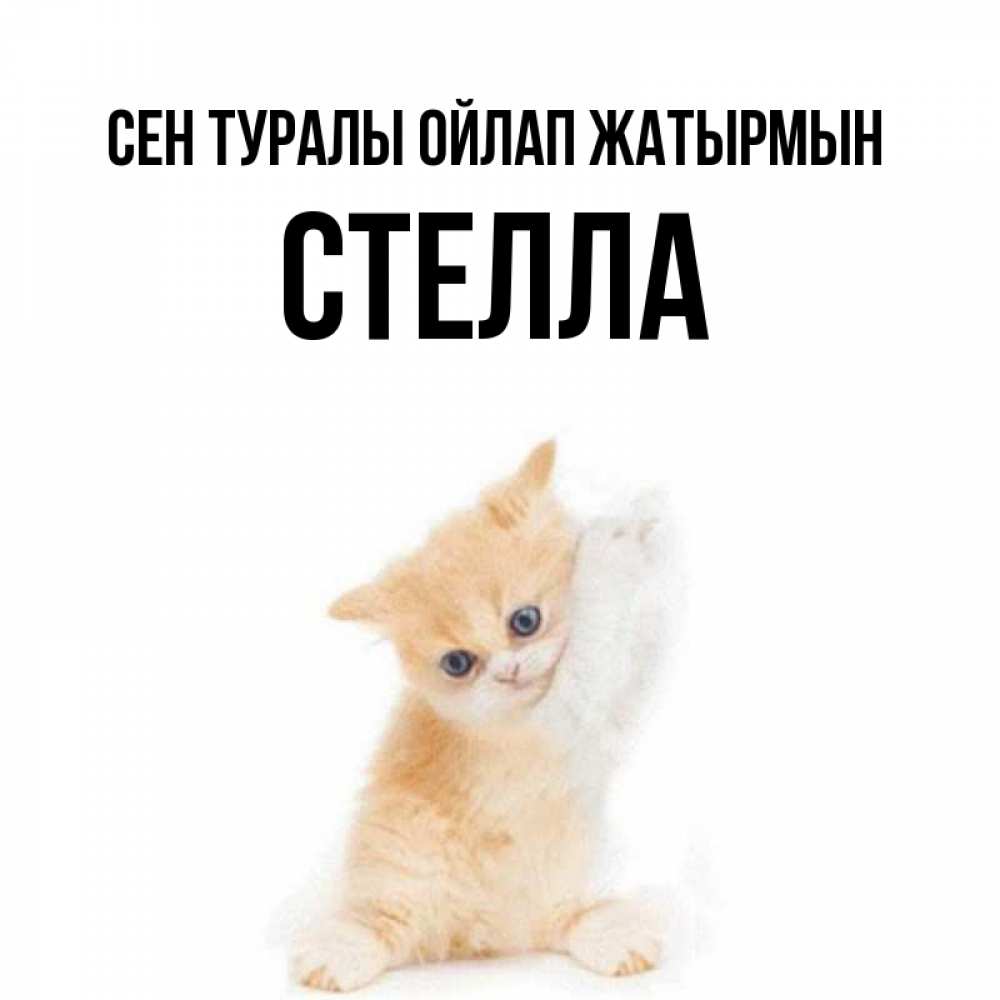 Күн сайын ашық хат с именем, Стелла Сен туралы ойлап жатырмын зверушки и милота Онлайн тегін жүктеп алу тілектері бар керемет карта 