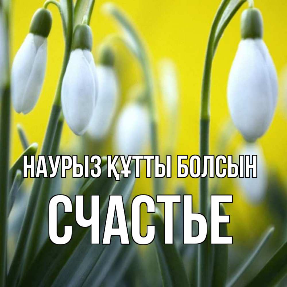 Күн сайын ашық хат с именем, Счастье Наурыз құтты болсын весенние цветы Онлайн тегін жүктеп алу тілектері бар керемет карта 