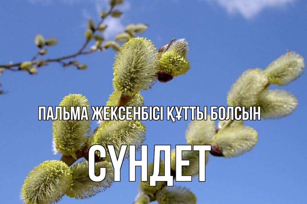 Күн сайын ашық хат с именем, СҮНДЕТ Пальма жексенбісі құтты болсын верба Онлайн тегін жүктеп алу тілектері бар керемет карта 