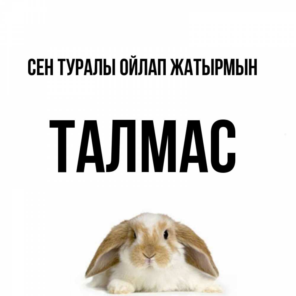 Күн сайын ашық хат с именем, ТАЛМАС Сен туралы ойлап жатырмын подписать своими руками онлайн Онлайн тегін жүктеп алу тілектері бар керемет карта 