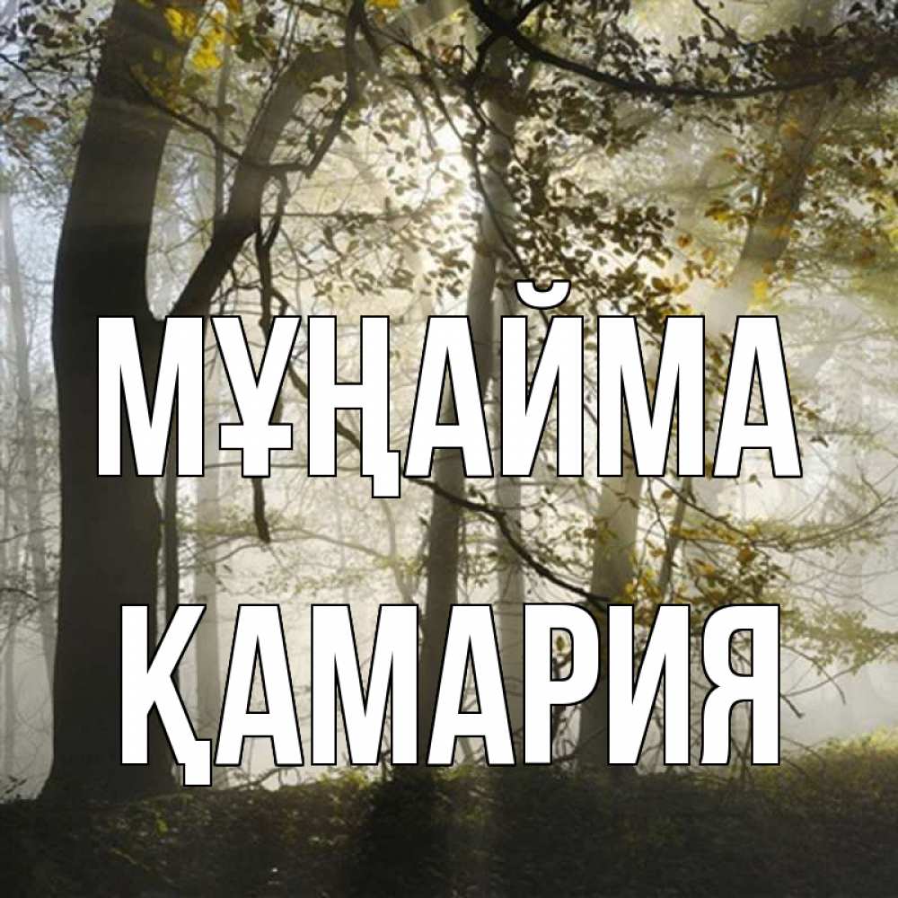 Күн сайын ашық хат с именем, ҚАМАРИЯ Мұңайма лес и свет Онлайн тегін жүктеп алу тілектері бар керемет карта 