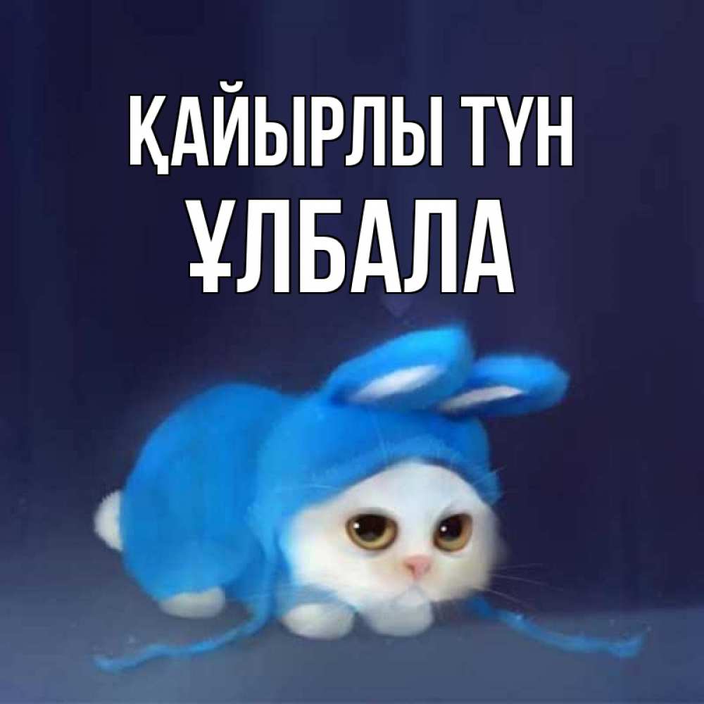 Күн сайын ашық хат с именем, ҰЛБАЛА Қайырлы түн кот в голубом костюме кролика с ушками Онлайн тегін жүктеп алу тілектері бар керемет карта 