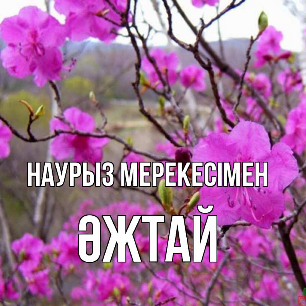 Күн сайын ашық хат с именем, Әжтай Наурыз мерекесімен праздник весны наурыз Онлайн тегін жүктеп алу тілектері бар керемет карта 