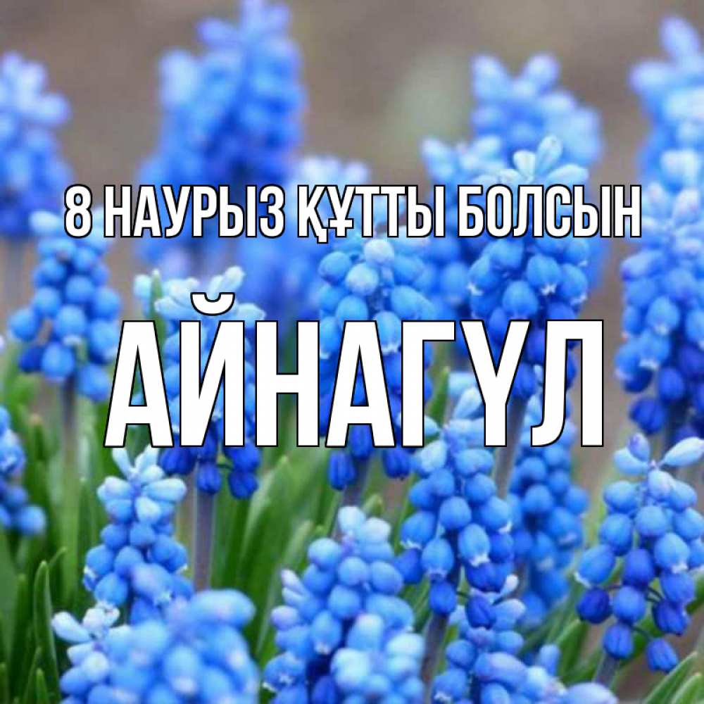 Күн сайын ашық хат с именем, АЙНАГҮЛ 8 наурыз құтты болсын Поздравительная открытка для женщин с цветами на праздничную дату Онлайн тегін жүктеп алу тілектері бар керемет карта 