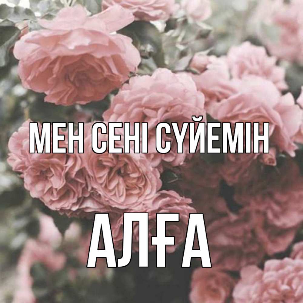 Күн сайын ашық хат с именем, Алға Мен сені сүйемін розы 3 Онлайн тегін жүктеп алу тілектері бар керемет карта 