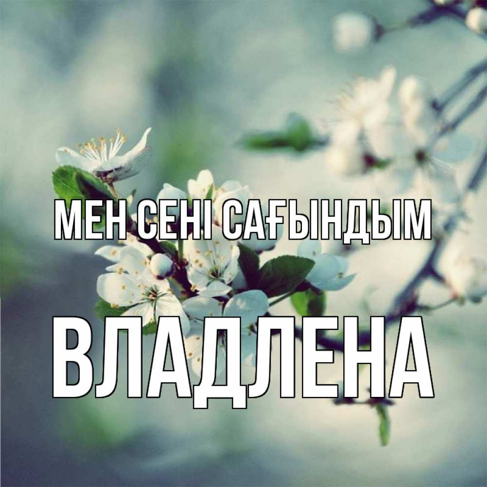 Күн сайын ашық хат с именем, Владлена Мен сені сағындым весна Онлайн тегін жүктеп алу тілектері бар керемет карта 