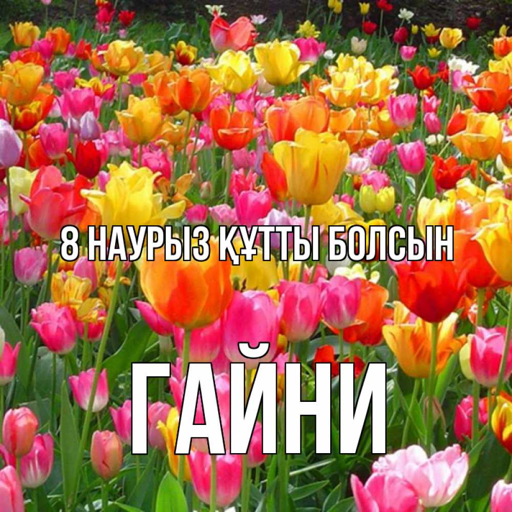 Күн сайын ашық хат с именем, ГАЙНИ 8 наурыз құтты болсын на международный женский день Онлайн тегін жүктеп алу тілектері бар керемет карта 