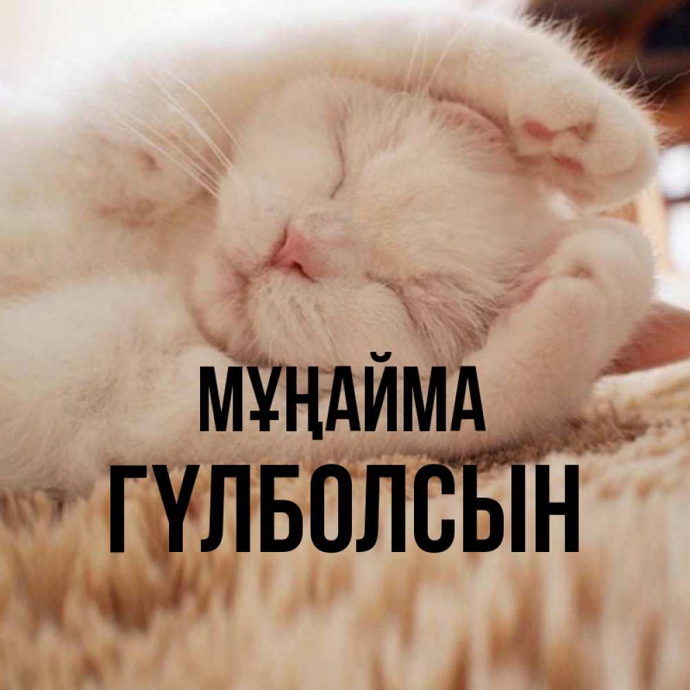 Күн сайын ашық хат с именем, ГҮЛБОЛСЫН Мұңайма Котенок спит Онлайн тегін жүктеп алу тілектері бар керемет карта 