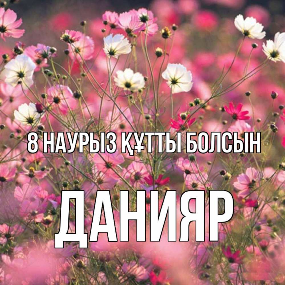 Күн сайын ашық хат с именем, Данияр 8 наурыз құтты болсын красиво 1 Онлайн тегін жүктеп алу тілектері бар керемет карта 